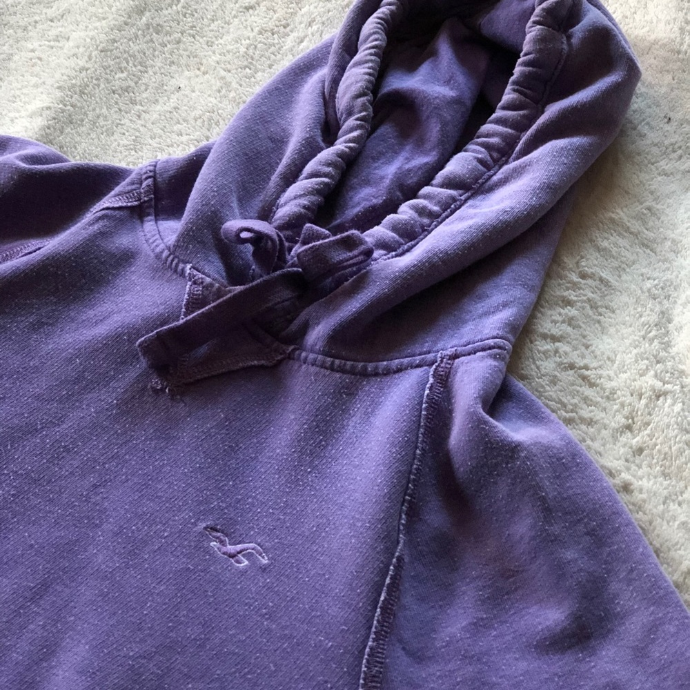 Purple Hollister Hoodie